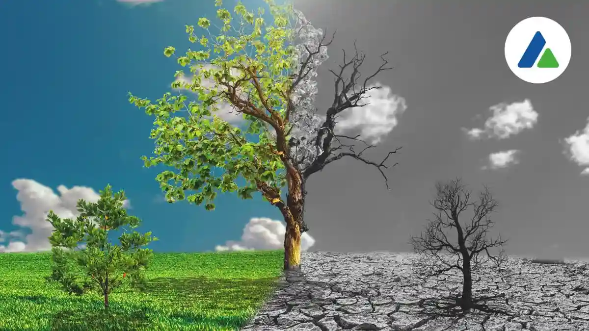 blog-guia-de-nrs-capa-arvore-1200x675px